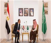 مصر والسعودية يشددان على ضرورة تغليب المسارات الدبلوماسية لحماية الأمن القومي العربي