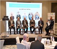 مصر تستعرض أولوياتها الحضرية واستجابات المدن لتغير المناخ خلال ورشة IPCC
