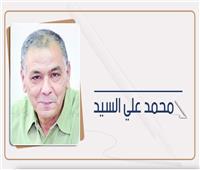  محمد علي السيد يكتب: من مسرح علي سالم
