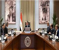 رئيس الوزراء يتلقى التقرير النهائي للجنة تطوير الإعلام المصري