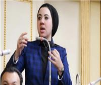 أول تعليق من النائبة أميرة صابر صاحبة مقترح التبرع بالجلد  