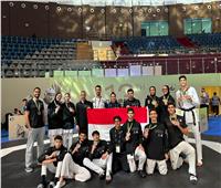 وزير الرياضة يهنئ منتخب مصر للتايكوندو بعد تألقه في كأس العرب