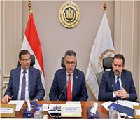 «التموين» و«الزراعة»: استيراد دواجن مجمدة وطرحها بالمنافذ قبل شهر رمضان