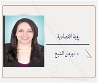 الدبلوماسية الاقتصادية وآفاق التعاون المصرى التركى 