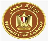 خلق فرص تشغيل للشباب.. أهم ملفات وزير العمل الجديد