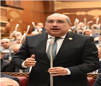 عضو بالشيوخ: المرحلة الراهنة تتطلب حكومة تمتلك رؤية واضحة لخفض معدلات التضخم