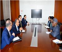 عبدالعاطي يشدد على أهمية التوصل لوقف شامل لإطلاق النار في السودان 