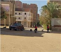 تحصين وتعقيم 96 كلبًا ضالًا في قنا 