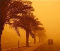 نصائح مهمة لمرضى حساسية الصدر والربو لمواجهة العواصف الترابية.. تعرف عليها 