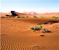 آلاف السنين من الرمال الحديدية.. لون برتقالي يحكي تاريخ ناميب