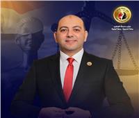 رئيس برلمانية حماة الوطن: دور جهاز مستقبل مصر محوري من خلال الاستثمار في الزراعة