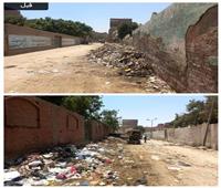 حملة نظافة موسعة بطريق مقابر كفر الجبل في الجيزة 