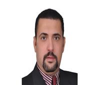 المنوفي: صادرات الفراولة تقود الزراعة المصرية إلى صدارة الأسواق العالمية