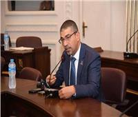 صحة الشيوخ: المواطن لن يقبل شعارات دون نتائج ملموسة في مواجهة الغلاء