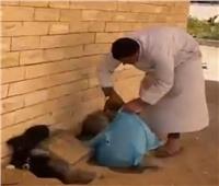 ضبط شخص لاتهامه بمحاولة وضع كلاب داخل أكياس بلاستيكية بالجيزة