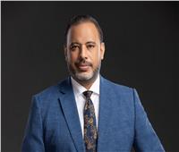 برلماني: قمة جدة تؤكد أن التحالف المصري السعودي هو محور التوازن في المنطقة