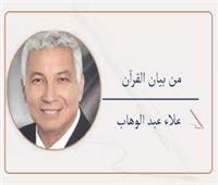   والفتنة أكبر من القتل