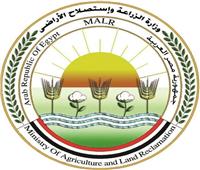 "الزراعة" تقدم دعم فني لمربي الدواجن لزيادة الإنتاج