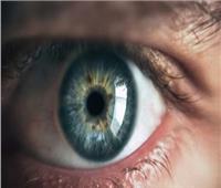 3 أسباب تجعل فحوصات العين المنتظمة مهمة.. تعرف عليهم