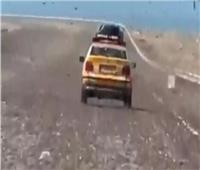 اجتياح أسراب الجراد لجنوب المغرب بعد أمطار استثنائية