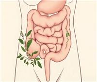طفرة في عالم الطب حول علاج «الإمساك المزمن»
