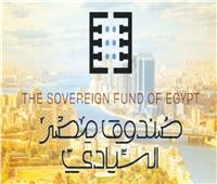 خبير: طروحات صندوق مصر السيادي خطوة استراتيجية تعزز الثقة في السوق
