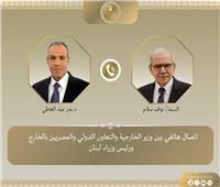 وزير الخارجية: مصر تدعم مؤسسات الدولة اللبنانية وجهود الجيش في حصر السلاح