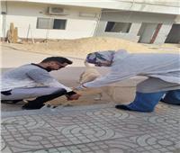  بيطري الإسماعيلية يتابع حملاته المكثفة لتحصين الكلاب الحرة ضد مرض السعار 