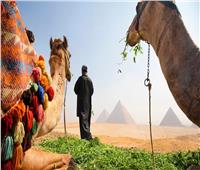 التايمز البريطانية: مصر بين أبرز الوجهات السياحية بالمنطقة والمجال الجوي «طبيعي»