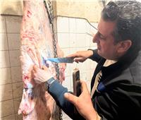 بيطري الغربية يضبط لحوم مذبوحة خارج المجازر و570 كيلو دهون قبل بيعها للمطاعم