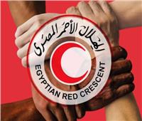 الهلال الأحمر المصري يدفع بـ 86 ألف سلة غذائية ومساعدات شتوية إلى قطاع غزة 