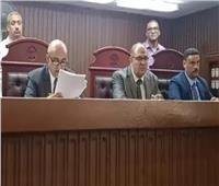 جريمة هزت القليوبية.. إحالة أوراق ميكانيكي للمفتي لاتهامه بالاعتداء على قاصر