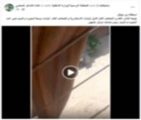 ضبط مرتكب واقعة خلاف جيرة بالبحيرة