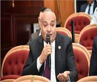 عضو بالشيوخ: اتصال الرئيس السيسي ونظيره الإيراني يؤكد تحركات مصر لخفض التصعيد