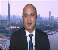 أحمد سيد أحمد: مصر تمثل حجر الزاوية في الحفاظ على أمن واستقرار منطقة الشرق الأوسط