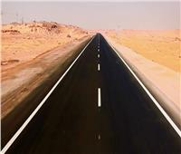 47.8 مليون جنيه لـ صيانة ورفع كفاءة طريق توشكى/ أبو سمبل السياحي