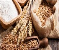 حكم إخراج زكاة الفطر مالًا؟.. المفتي يجيب