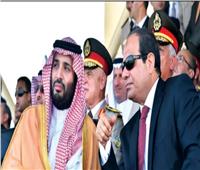برلماني: اتصال الرئيس السيسي ومحمد بن سلمان يعزز وحدة الصف العربي