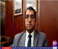 أسامة السعيد يحلل ثوابت الموقف المصري تجاه أمن الخليج
