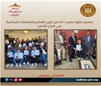 «العمل» توفر وظائف وتدريب للشباب بالمحافظات| التفاصيل الكاملة