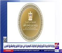 مجموعات عمل قنصلية لدعم المصريين بالخارج على مدار الساعة