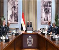 رئيس الوزراء يتابع إجراءات ترشيد استهلاك المواد البترولية والكهرباء 