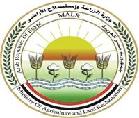 وزير الزراعة يتابع تداعيات موجة الطقس.. ويوجه بتكثيف الدعم للمزارعين