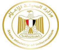 وزارة الدولة للإعلام تنفى رسو سفينة مواد تدخل فى تصنيع الأسلحة بميناء أبو قير