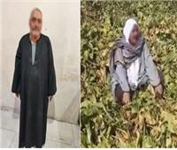 فيديو| خلافات الميراث تكشف واقعة ادعاء كاذب بإتلاف محصول في كفر الشيخ