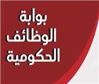 فرص عمل متاحة عبر بوابة الوظائف الحكومية.. طبية وإدارية وقيادية بالمحافظات | تفاصيل