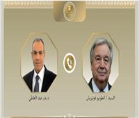 وزير الخارجية وسكرتير عام الأمم المتحدة يبحثان تطورات الأوضاع في الشرق الأوسط