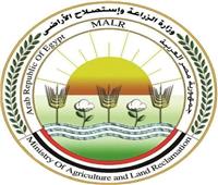 "الزراعة" تطلق الحملة القومية الأولى لعام 2026 للتحصين ضد الجلد العقدي في الأبقار