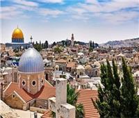 سفارة فلسطين بالقاهرة تنظم عرضًا خاصًا لفيلم «لأنها فلسطين»| الثلاثاء