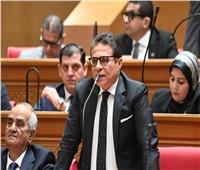 برلماني: ضبط عناصر «حسم» يؤكد استمرار خطر التنظيمات الإرهابية